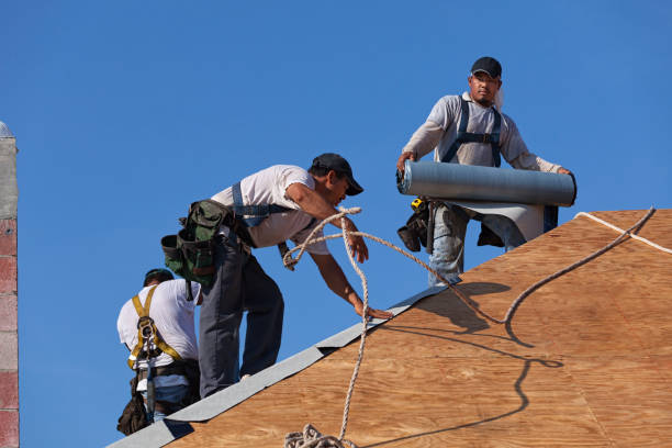 Best Metal Roofing Contractor  in Sully Square, VA