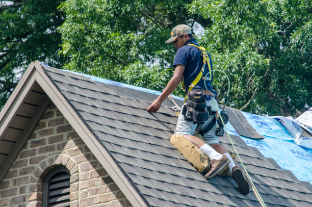 Best Gutter Installation and Roofing  in Sully Square, VA